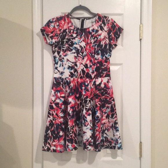 Parker Pink & Blue Dress - Picture 4 of 8